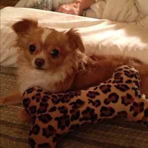 Meet your Posher, Beth